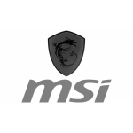 logo_msi_small